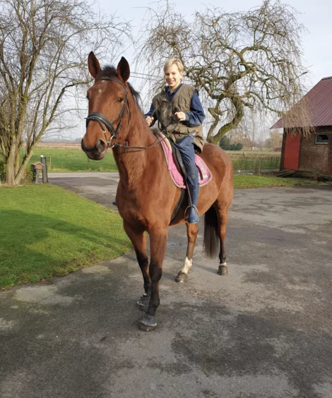 Ruiter op paard