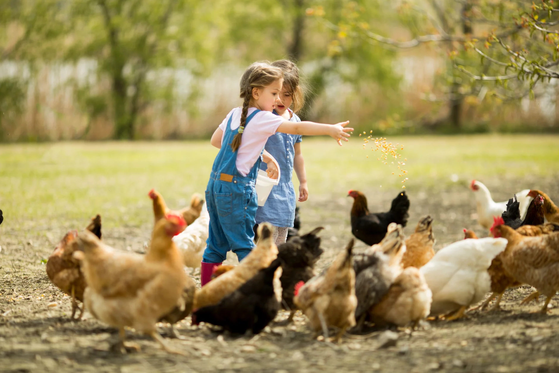 Koop lokaal: spring binnen in een verkooppunt!